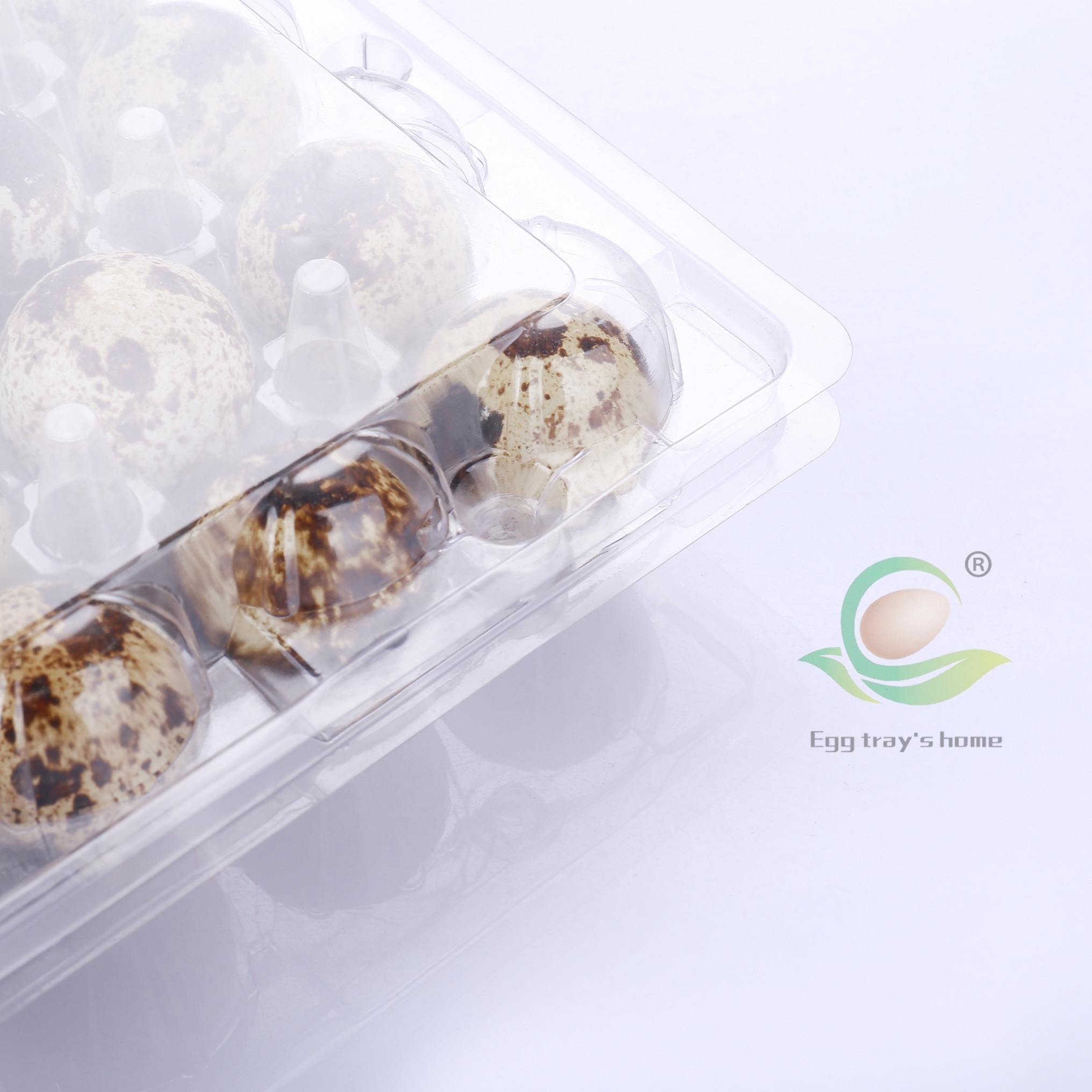 24  holes  plastic quail egg tray PET  quail egg cartons plastic Free Shipping