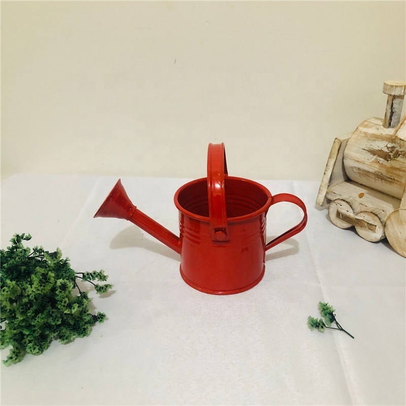 Indoor Outdoor watering pot for Home garden supplies Mini Cute Kids Plant Water Bucket  Long Neck Metal Garden Watering Can