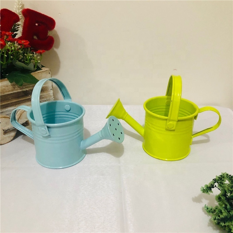 Indoor Outdoor watering pot for Home garden supplies Mini Cute Kids Plant Water Bucket  Long Neck Metal Garden Watering Can