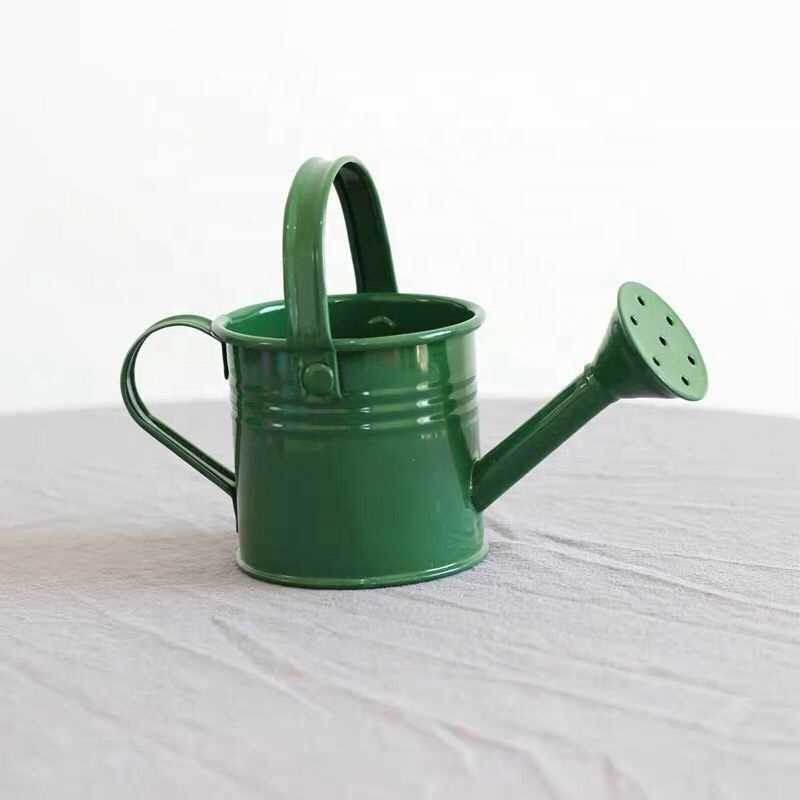 Indoor Outdoor watering pot for Home garden supplies Mini Cute Kids Plant Water Bucket  Long Neck Metal Garden Watering Can