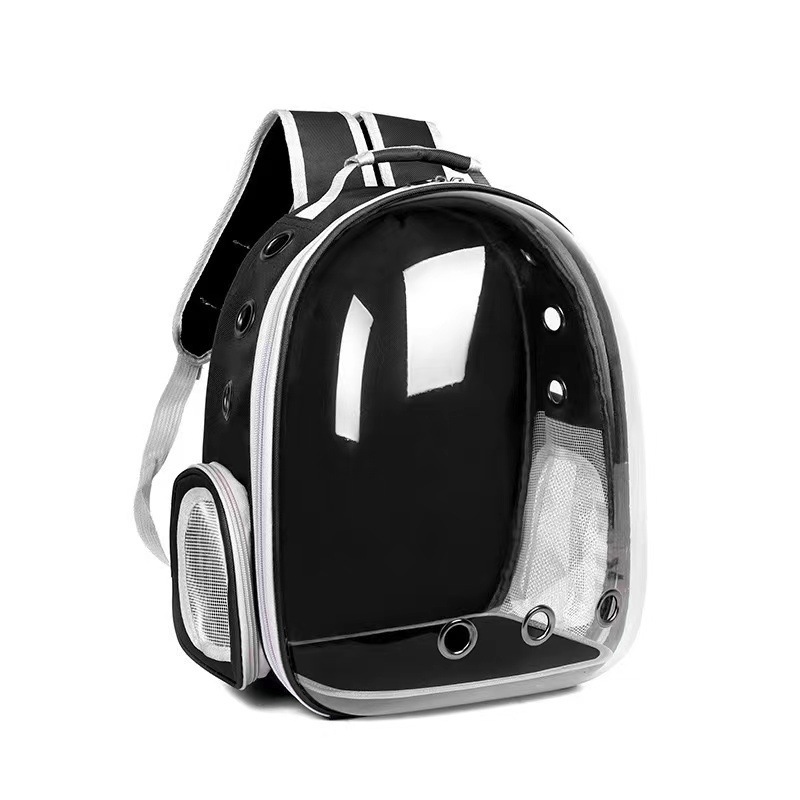 Panoramic Transparent Cat bag Side Open Portable Outdoor Cat Dog Carrier Bag Travel Suitcase for Pet Travel Transparent Case