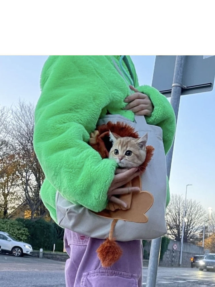 Hot Sale Cute Costume Lion Shaped Pet Shoulder Canvas Bag Portable Sling Cat Carrier Bag Outside Carrier Puppy Dogs Cats Bags