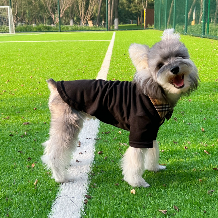 Wholesale Pet clothes Luxury Fashion Brand Designer Pet Dog Clothes Classic Cat Puppy Large Dogs Polo Shirts XS~9XL Customize