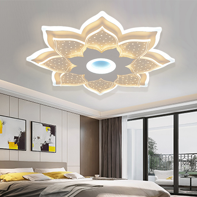 Fancy Simple Design Modern Lighting Nordic Dimming Lamp Acrylic House Indoor Bedroom Living Room Led Ceiling Light