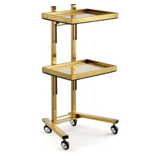 Hot sale beauty gold salon cart folding portable stainless steel frame salon trolley hairdressing with 4 wheels