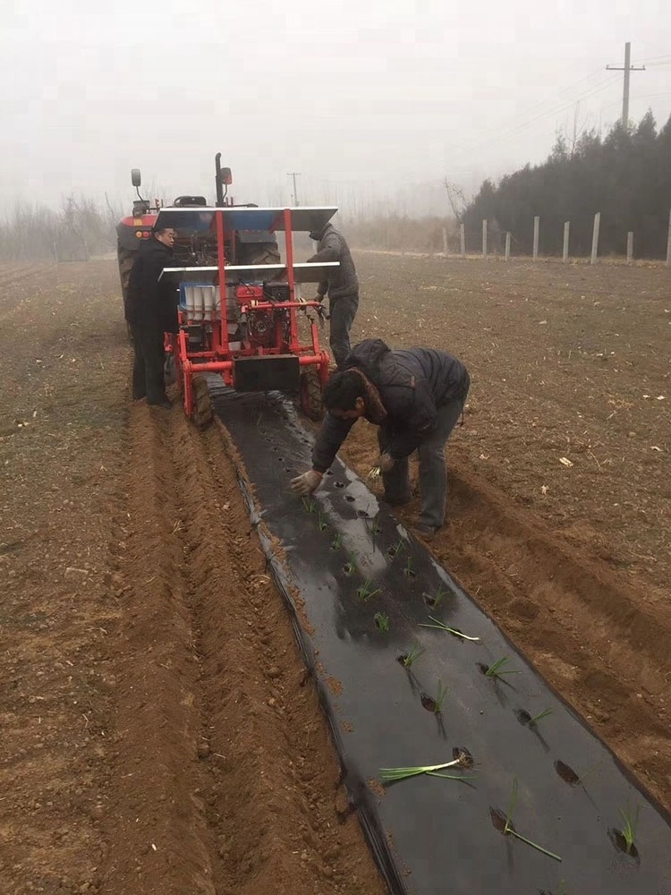 green onion seedling transplanting machine tomato seedling planter potato seedling planter