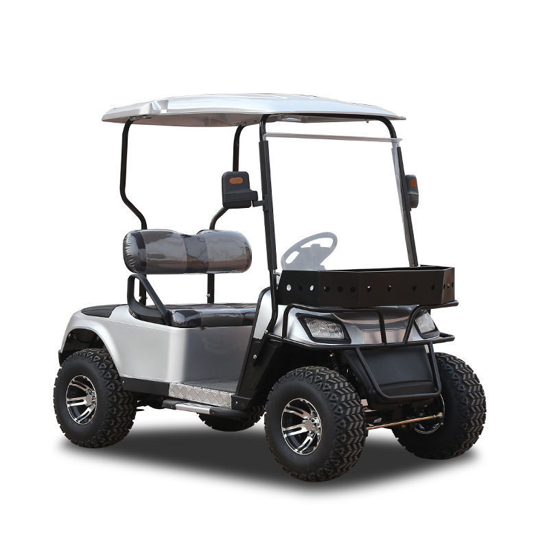 2023  Newest Hot Sale Cheap 2 Seats Gas Powered Golf /Buggy Carts Price