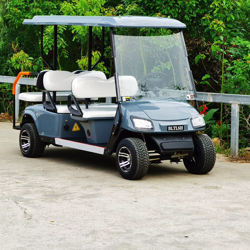 Hot Sale 2 4 6 Seater Electric Golf Carts Buggy Car Four Enclosed Power Golf Cart With Cheap Prices