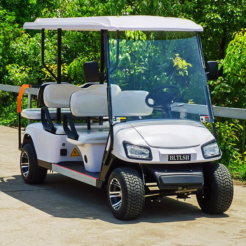 Hot Sale 2 4 6 Seater Electric Golf Carts Buggy Car Four Enclosed Power Golf Cart With Cheap Prices