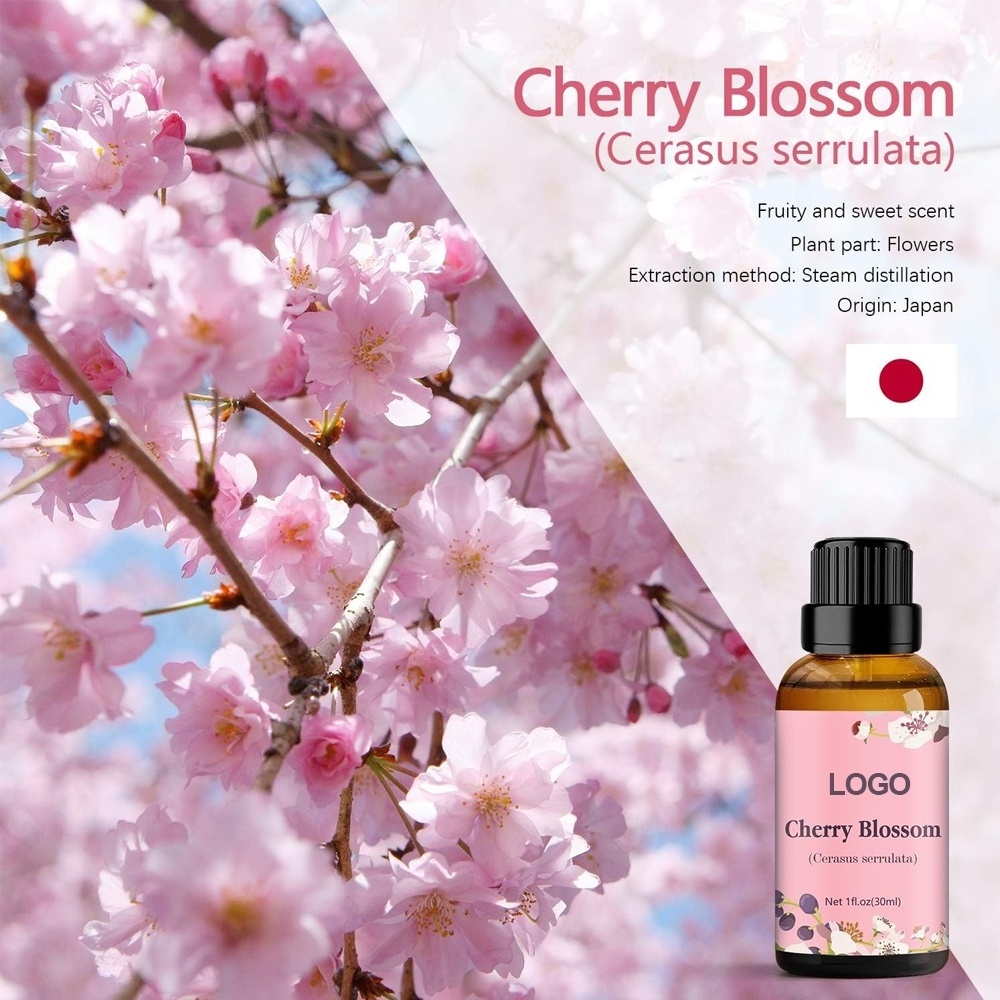 Bulk Concentate long lasting Cherry Blossom floral essential oil perfume fragrance oil women candle beeswax