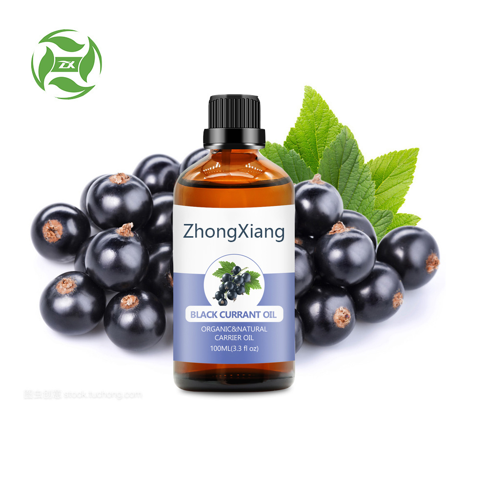 High Quality organic Cold Pressed Black Currant Seed Oil Pure Black Currant Seed Oil Black Currant Seed Essential Oil