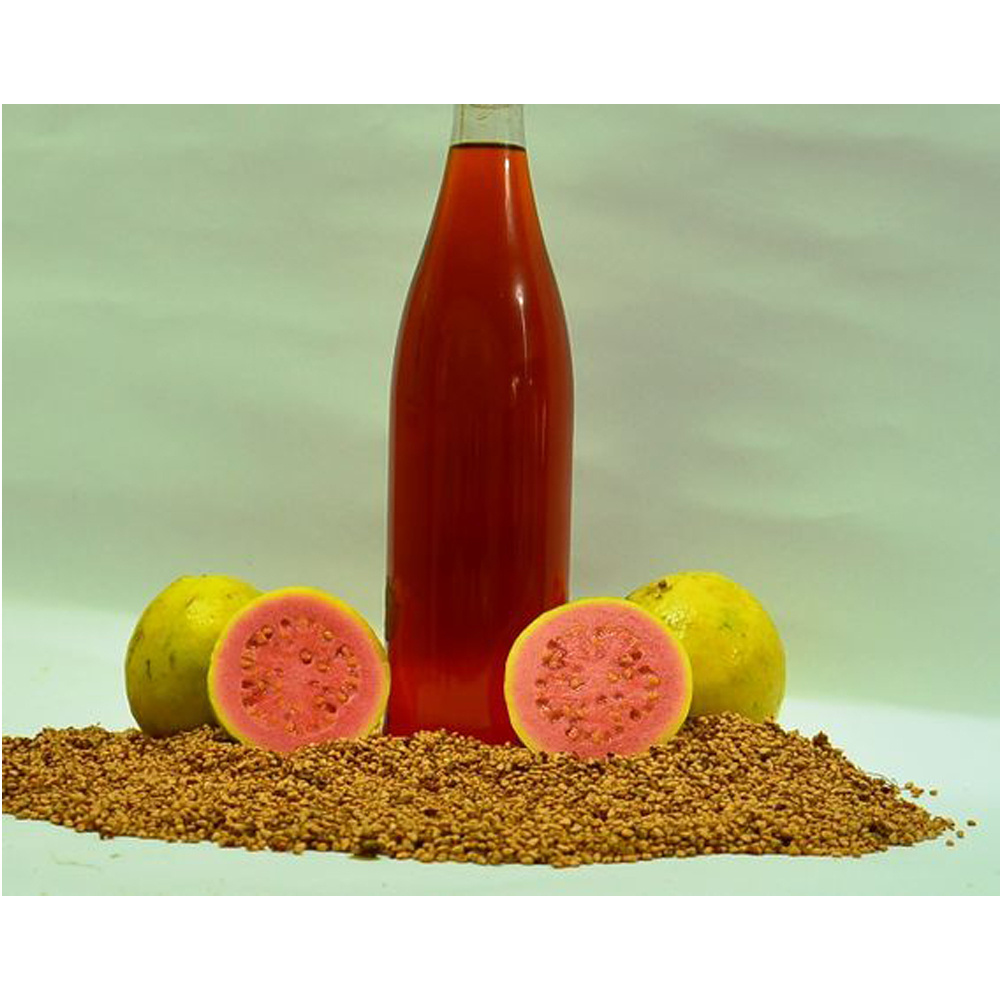 Essential oil Manufacturer supply wholesale bulk price OEM 100% pure natural guava seed oil