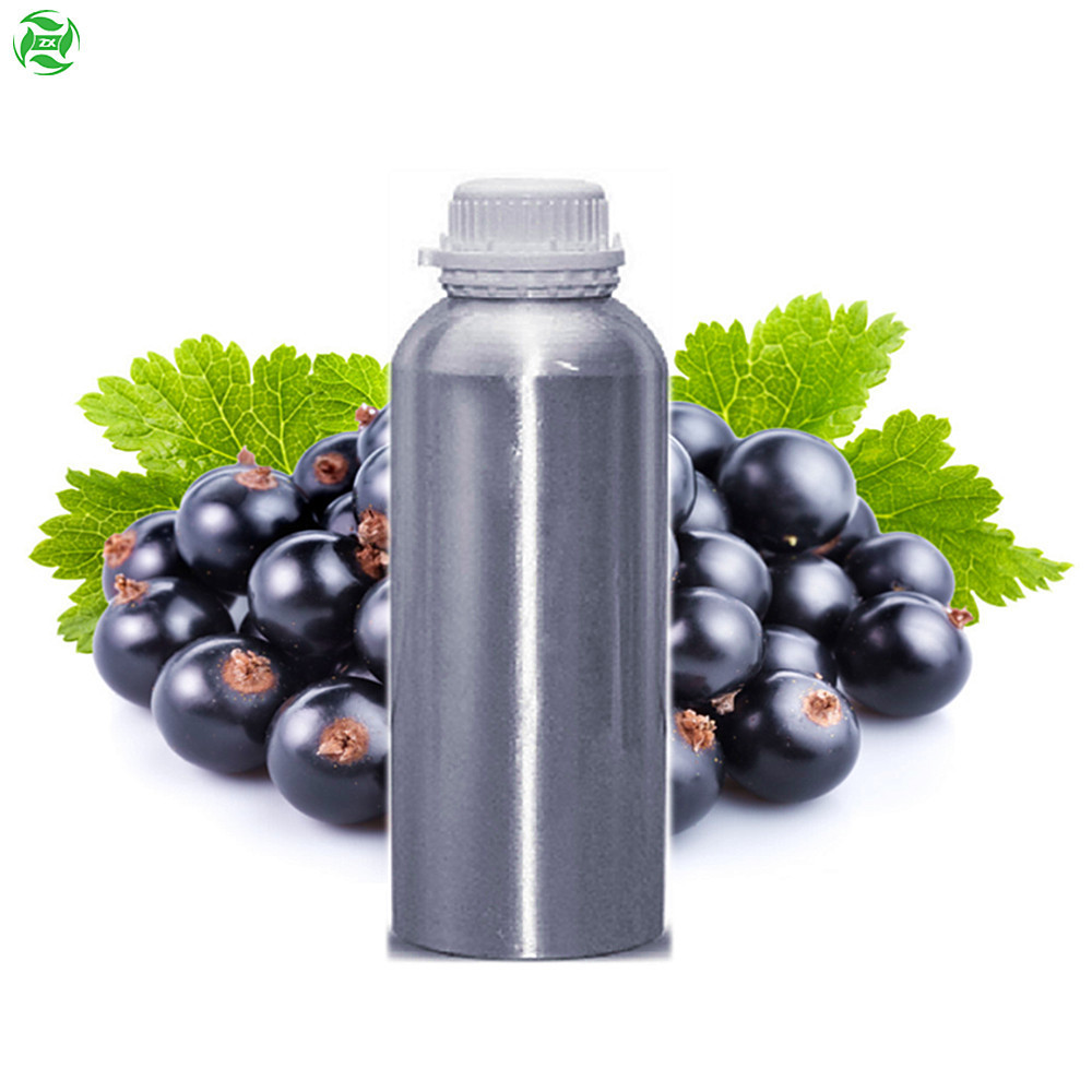 Supercritical CO2 Extraction Blackcurrant Seed Oil Massage Candle Oil Cosmetic Natural Products 100% Pure