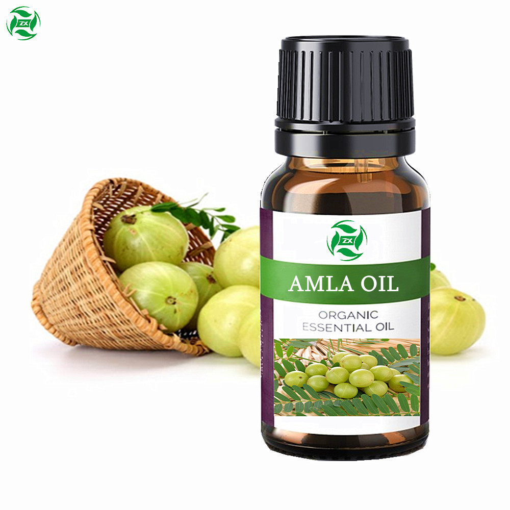 High Quality organic Cold Pressed Black Currant Seed Oil Pure Black Currant Seed Oil Black Currant Seed Essential Oil