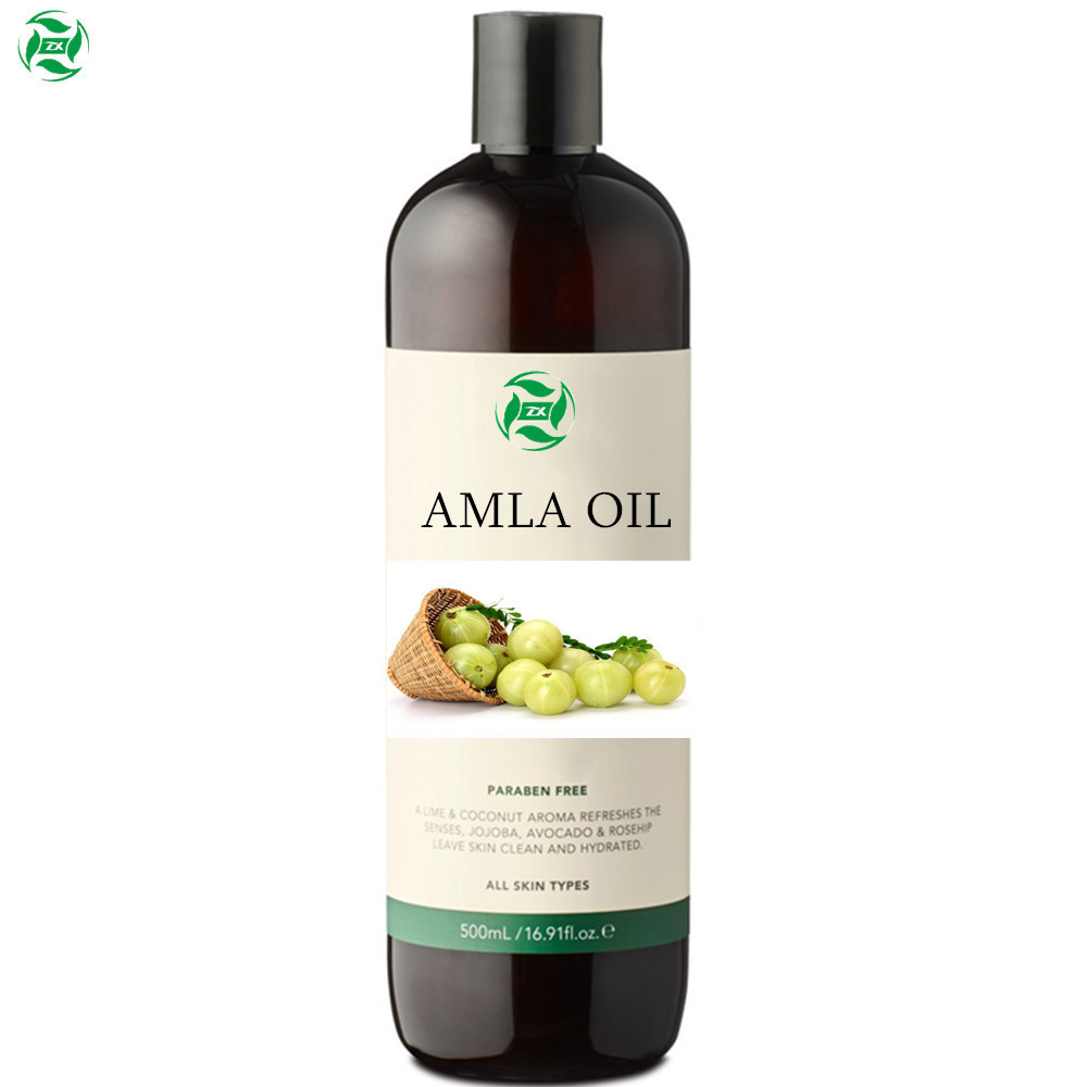 High Quality organic Cold Pressed Black Currant Seed Oil Pure Black Currant Seed Oil Black Currant Seed Essential Oil