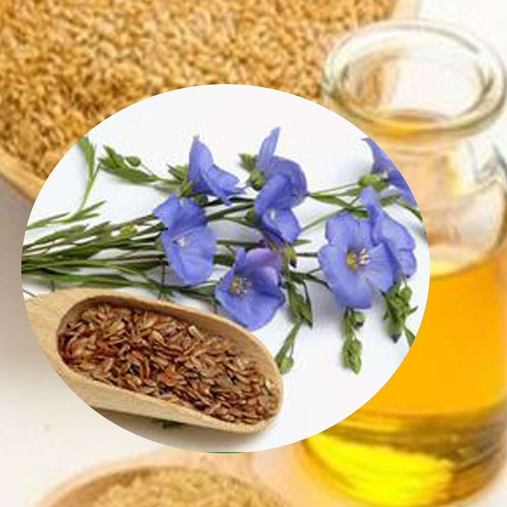 China Manufacturer Factory Supply cold pressed Natural bulk linseed oil