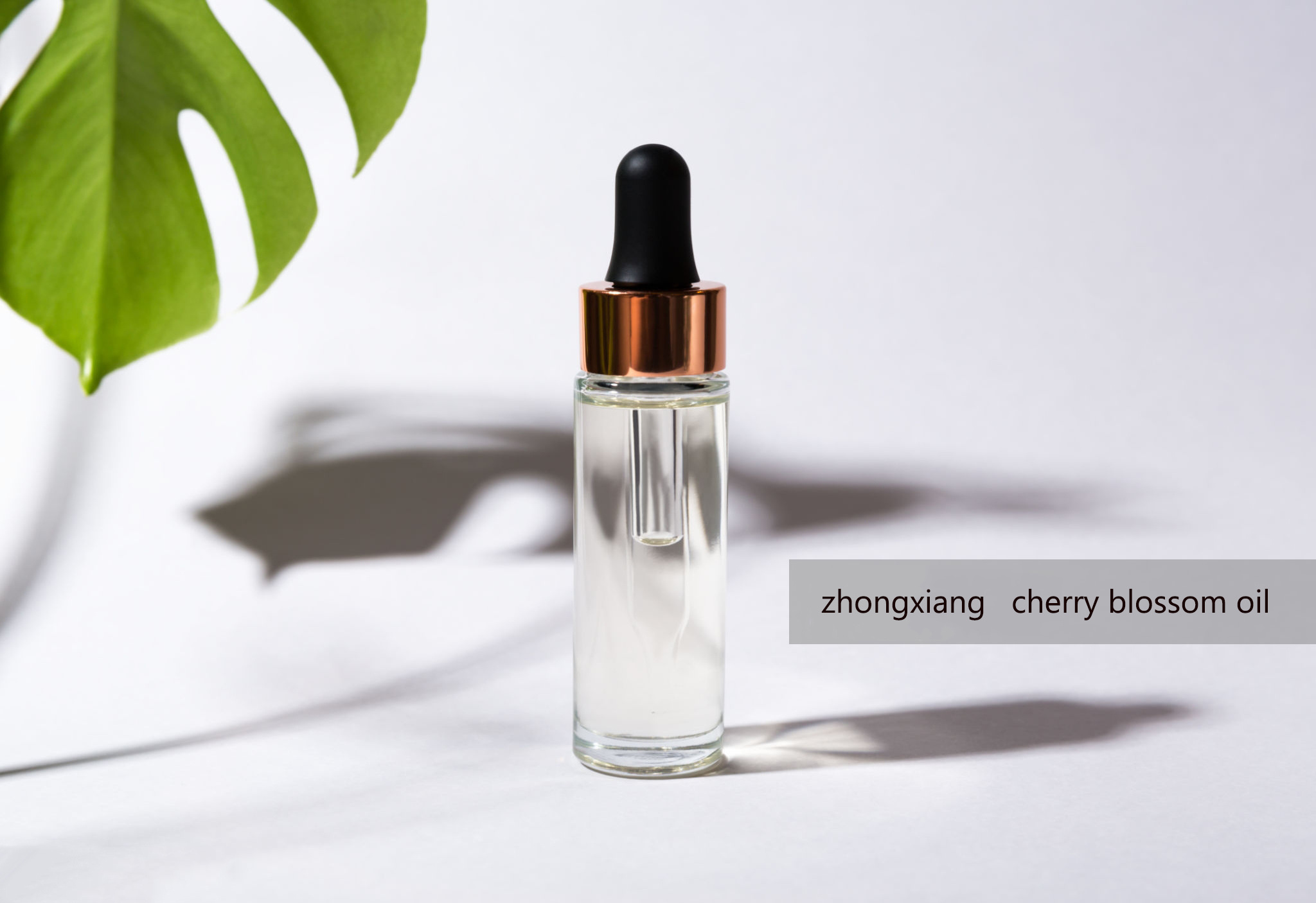 Wholesale bulk price Japanese cherry blossom fragrance oil sakura essential oil for making perfume, candles and soaps