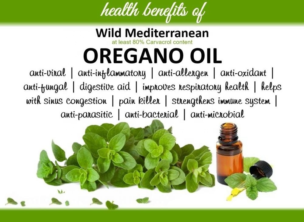 Food grade Oregano essential Oil bulk