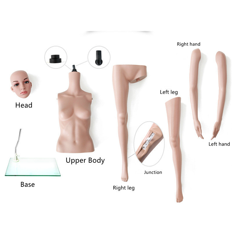 female sex dolls porn Torsos – Ballistic Dummy Lab main image 1
