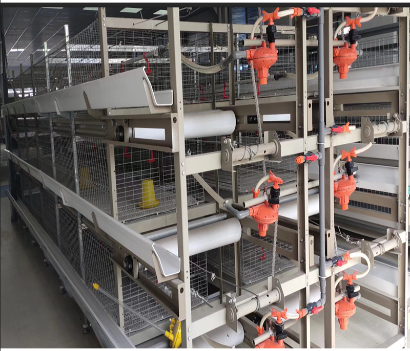 Automatic Feeding H Type Chick cage  egg laying hen cage battery layer chicken cage Factory Sale