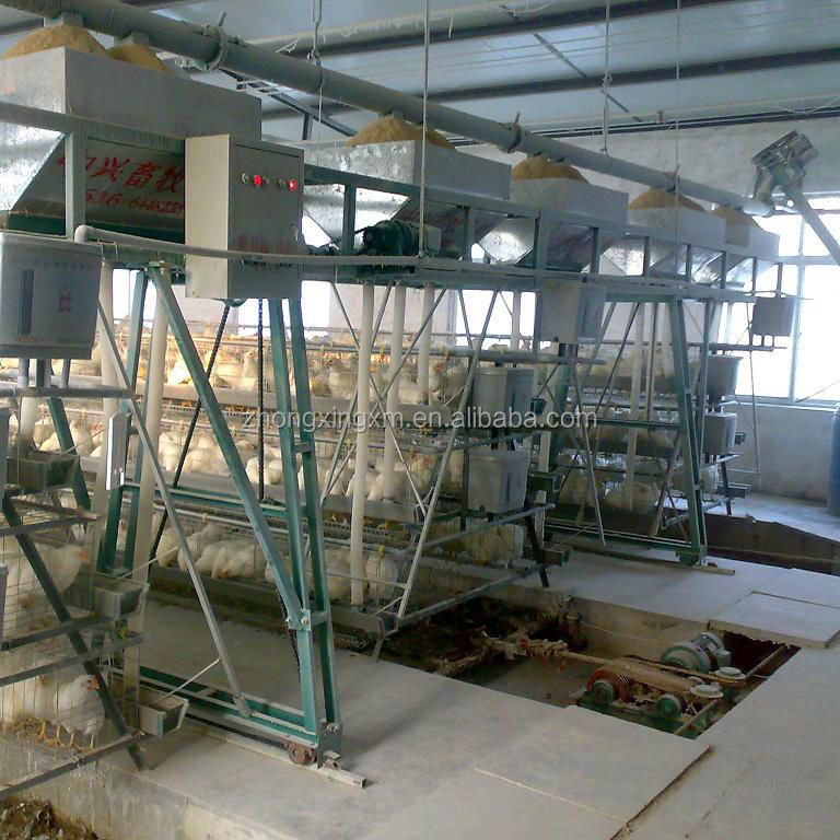 poultry cage with full automatic feeding system