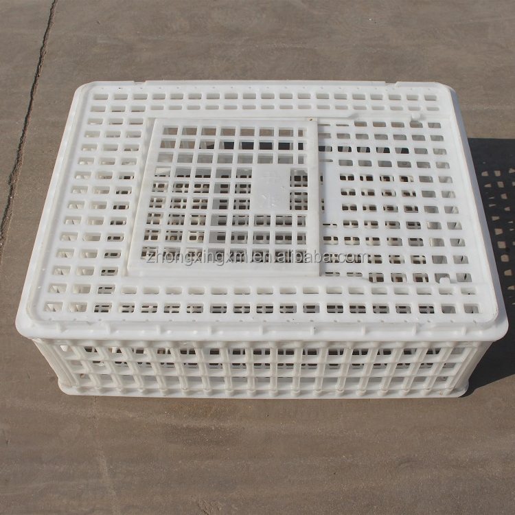 live chicken to transport cage plastic chicken transport cage pigeon broiler duck cage /crate