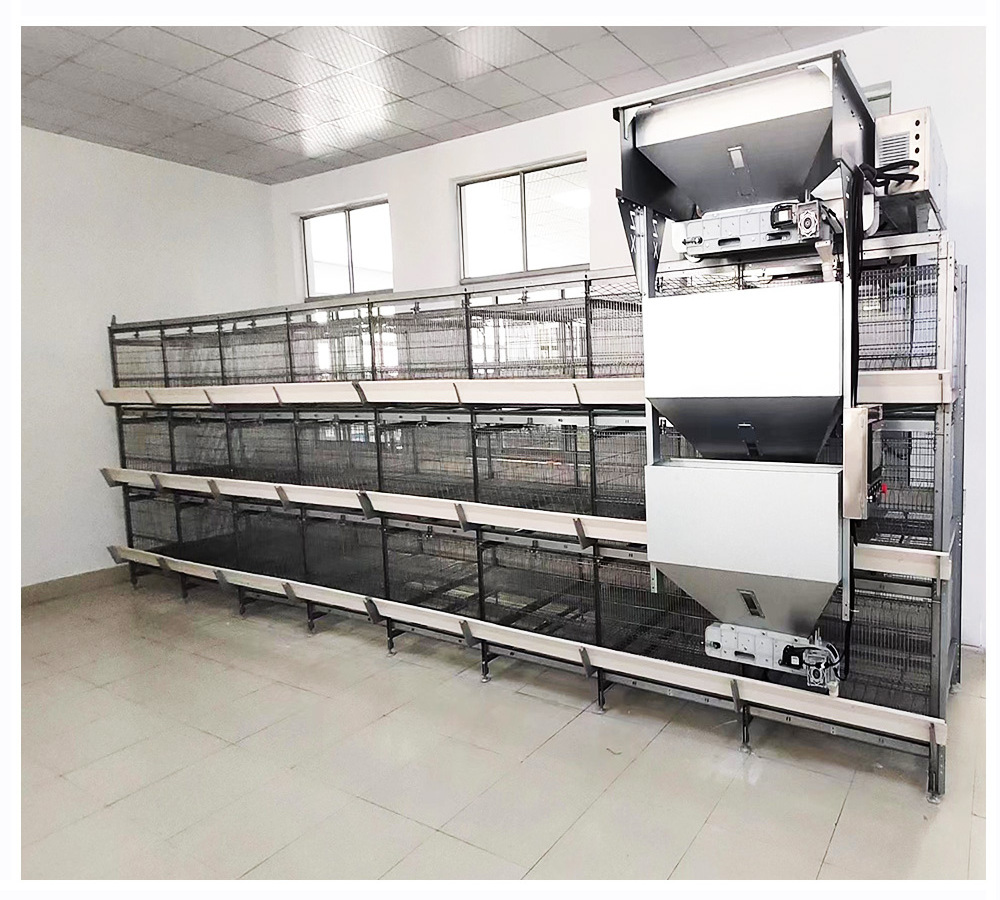 Automatic Feeding H Type Chick cage  egg laying hen cage battery layer chicken cage Factory Sale