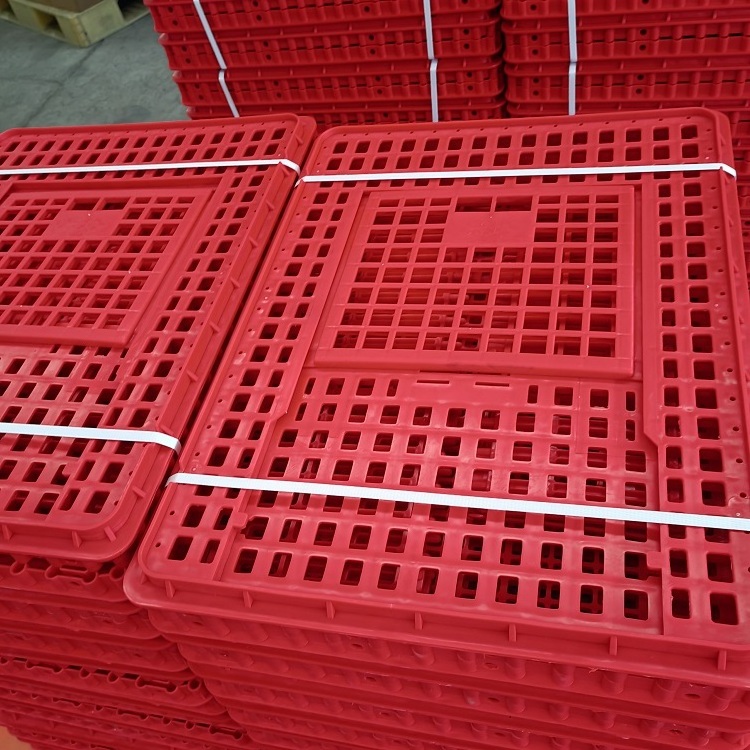 live chicken to transport cage plastic chicken transport cage pigeon broiler duck cage /crate