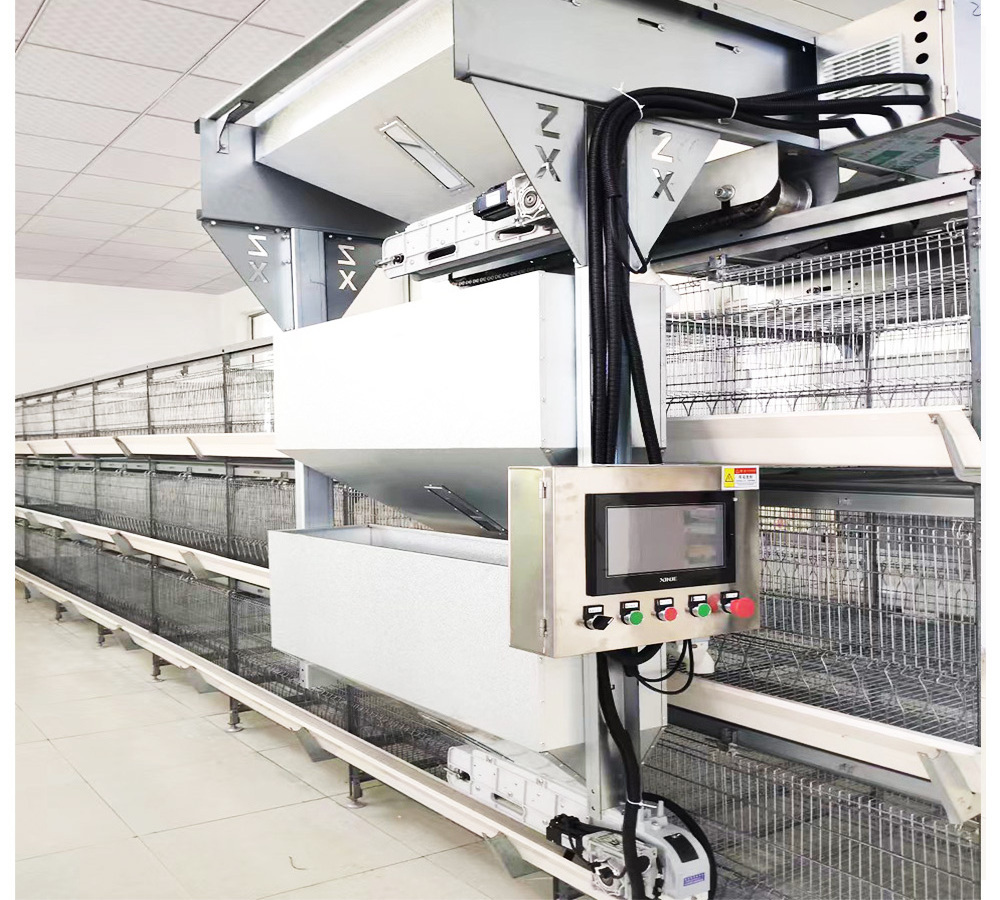 Automatic Feeding H Type Chick cage  egg laying hen cage battery layer chicken cage Factory Sale