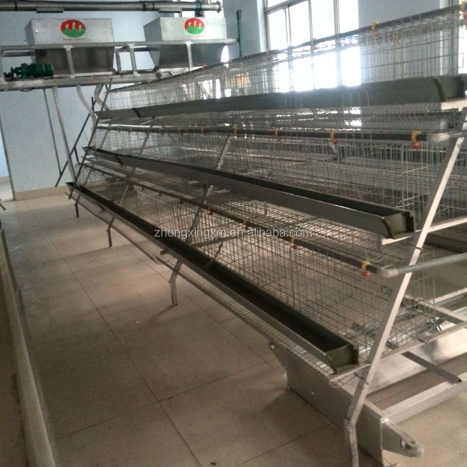 poultry cage with full automatic feeding system