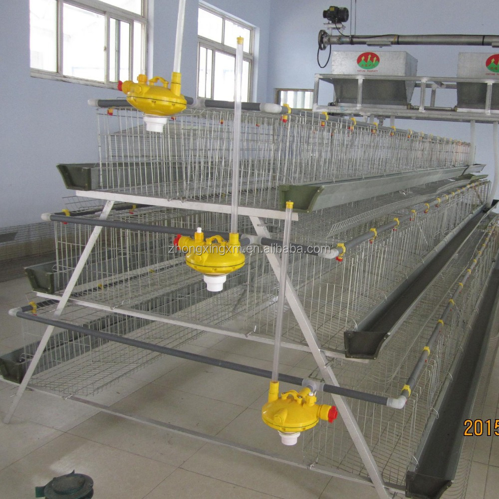 poultry cage with full automatic feeding system