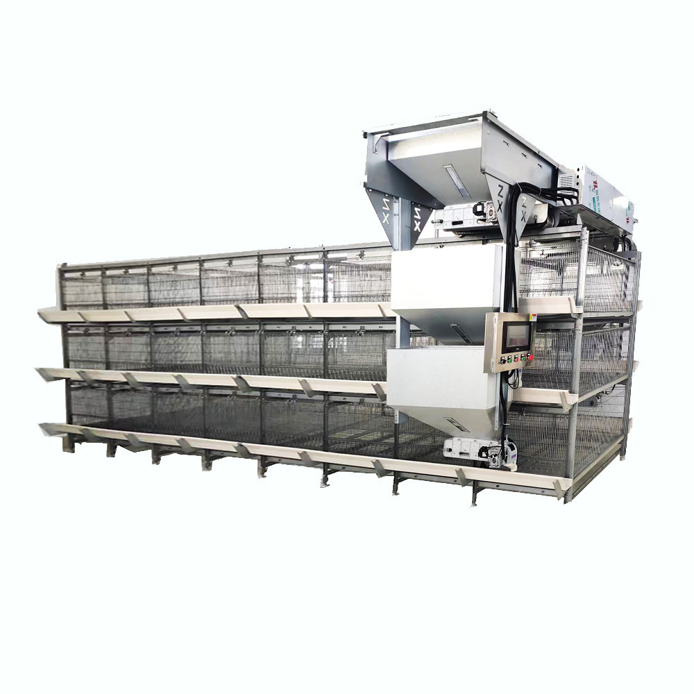 Automatic Feeding H Type Chick cage  egg laying hen cage battery layer chicken cage Factory Sale