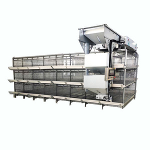 Automatic Feeding H Type Chick cage  egg laying hen cage battery layer chicken cage Factory Sale