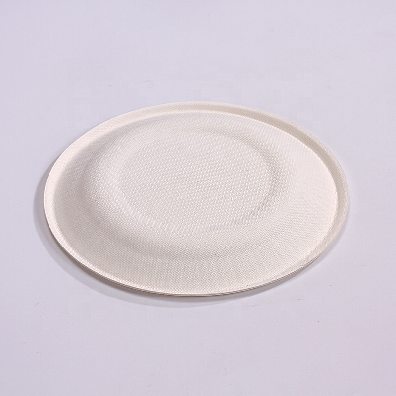 Free Samples 8 Inch Colorful Christmas Bagasse Plates Disposable Compostable Cake Plates Birthday Party Dishes Plates