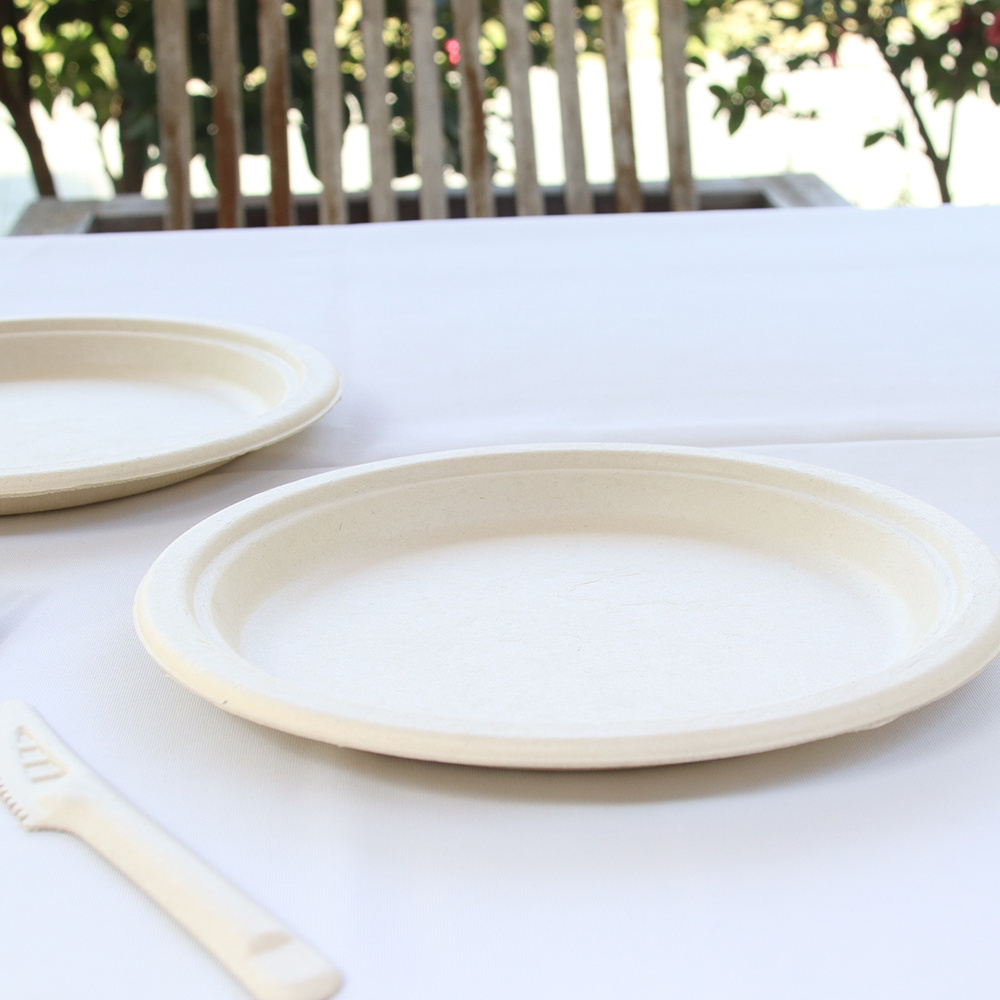 Factory Wholesale Biodegradable Serving Plate Microwavable Sugarcane Bagasse Paper Dish