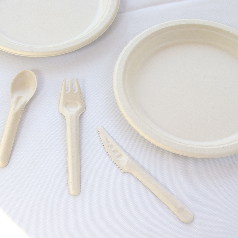 Factory Wholesale Biodegradable Serving Plate Microwavable Sugarcane Bagasse Paper Dish