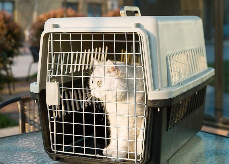 Pet air box dog large car cage consign small and medium-sized cats portable out to let cage