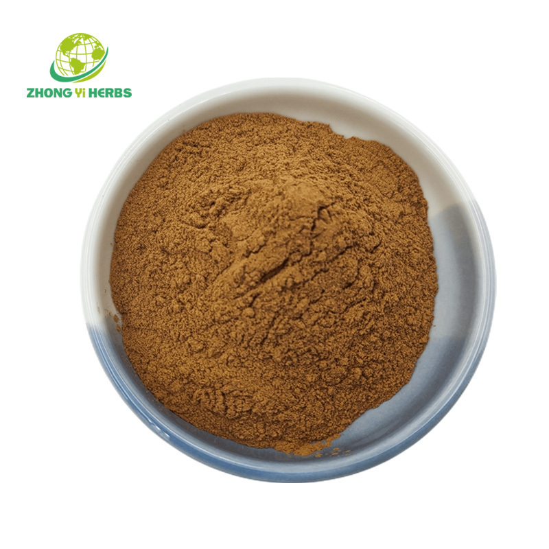 Wholesale Tea Tree Mushroom Extract Polysaccharide Organic Tea Tree Mushroom Powder