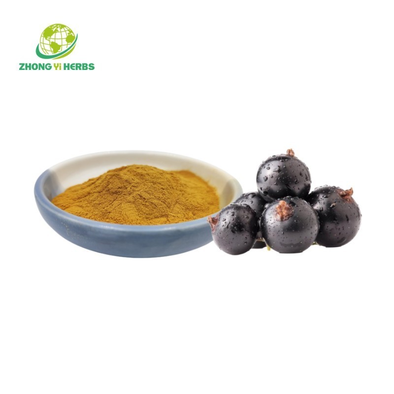 Bulk Spray Dried Black Chokeberry Extract Aronia Berry Extract Powder