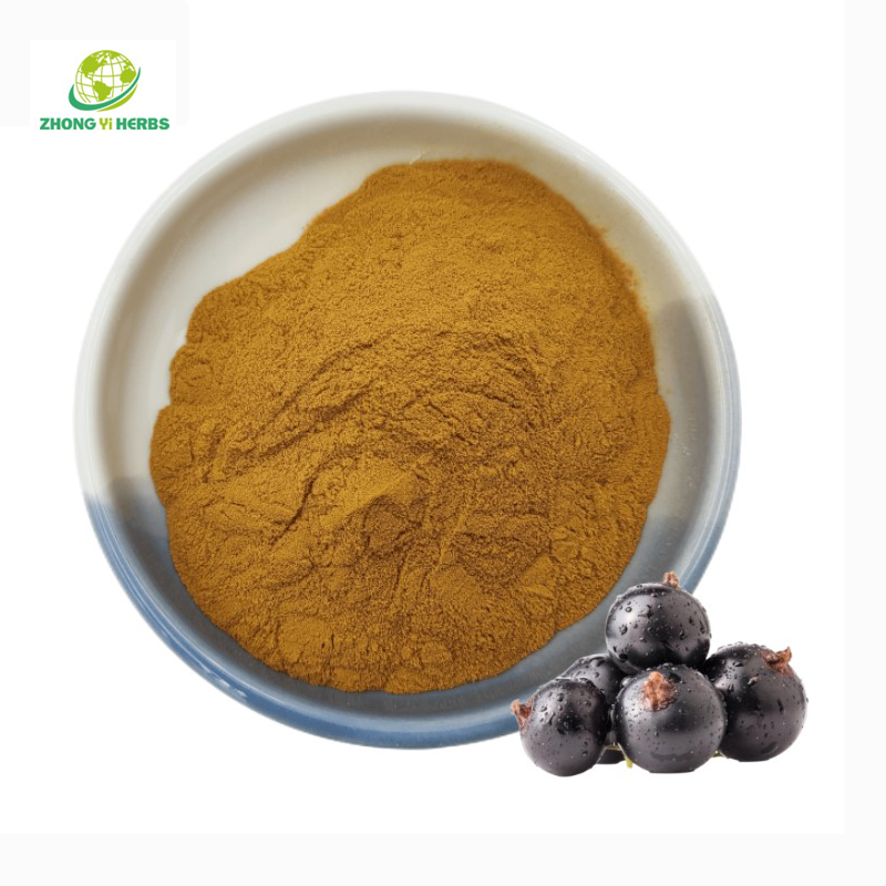 Bulk Spray Dried Black Chokeberry Extract Aronia Berry Extract Powder