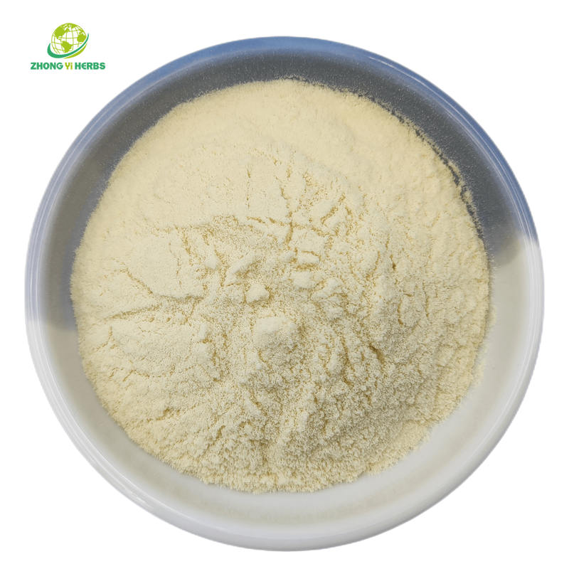 High Quality Loquat Fruit Juice Powder Loquat Fruit Extract Powder