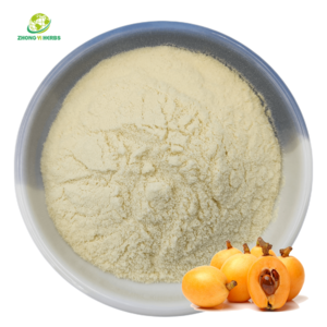 High Quality Loquat Fruit Juice Powder Loquat Fruit Extract Powder