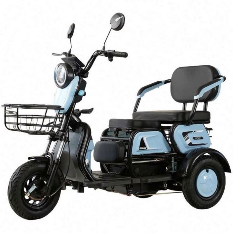 14Inch Electric Trike Electric Tricycle Three Wheels Adult Cargo Electric Bike 600w Vacuum Tire Electric Tricycle