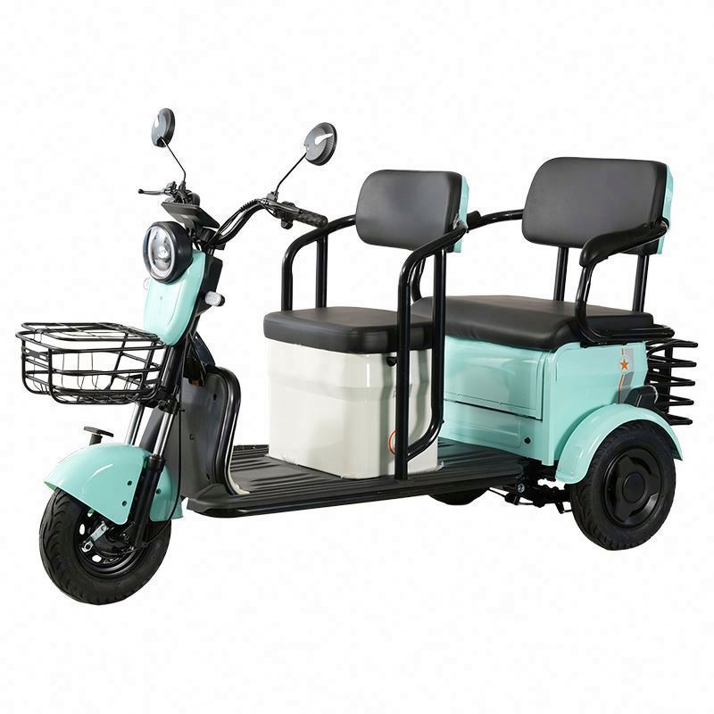 Cheap 3 Wheels Electric Vehicle 600w E Bike Electric Fully Enclosed Tricycle