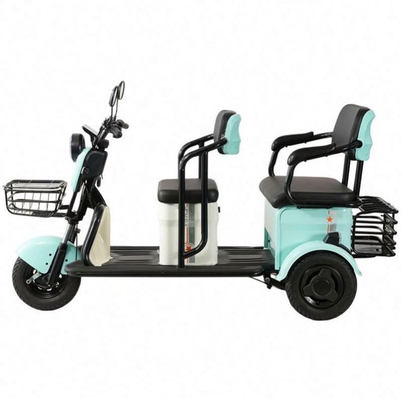 Cheap 3 Wheels Electric Vehicle 600w E Bike Electric Fully Enclosed Tricycle