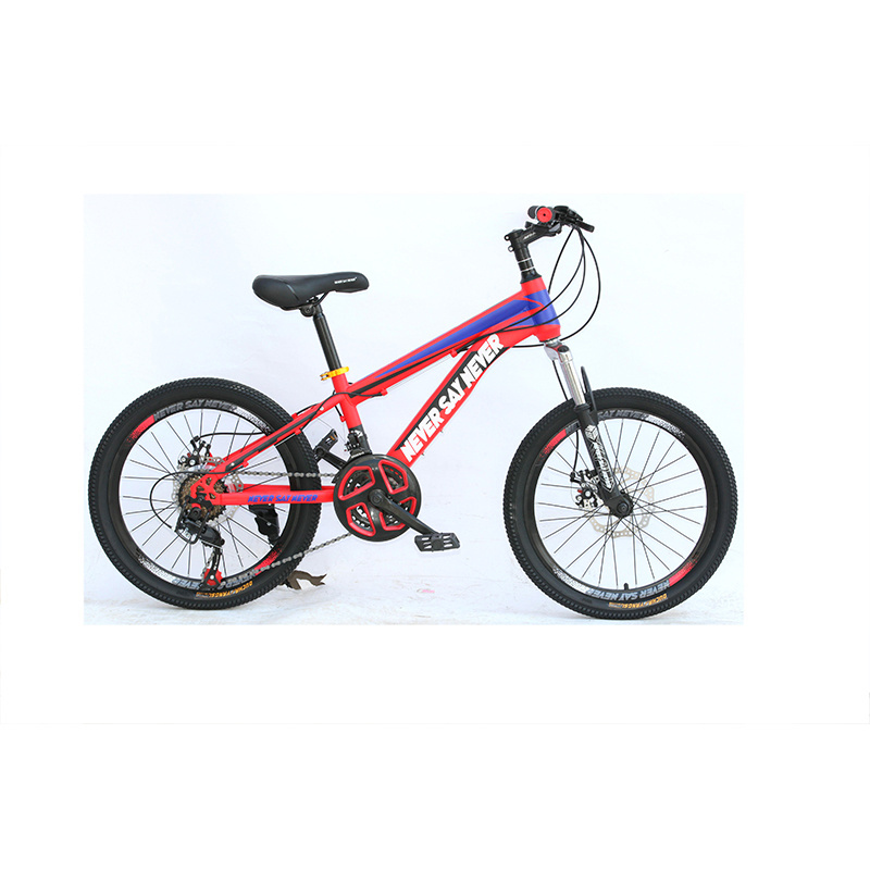 Forever cheap nice quality children mountain bike/20 inch bicycle bike for sale