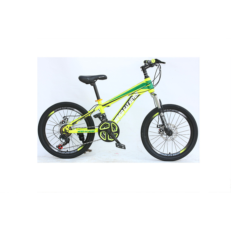 Forever cheap nice quality children mountain bike/20 inch bicycle bike for sale