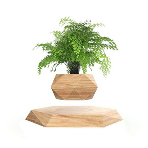 Air Bonsai Levitating Floating Flower Pots Floating Plant Pot For Office Home Decoration