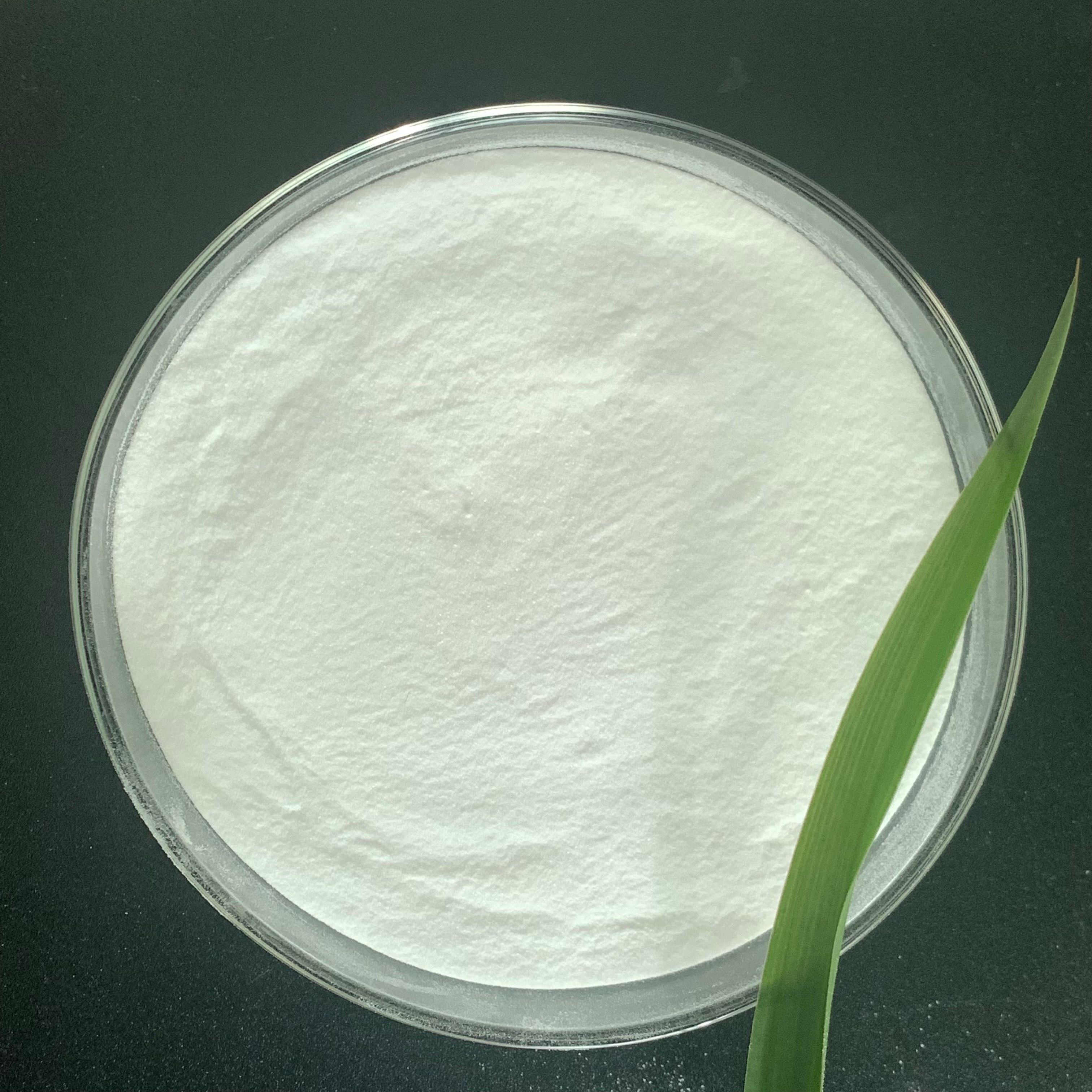 High Quality Food Grade 99% 25Kg Sodium Bicarbonate Baking Soda Powder