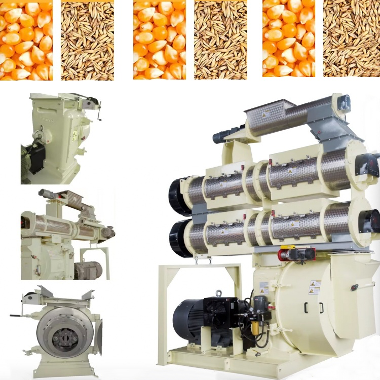 Feed Pellet Mill Machine Spare Parts Milling Machine Auto Feed Gear Box Feed Pellet Mill For Household